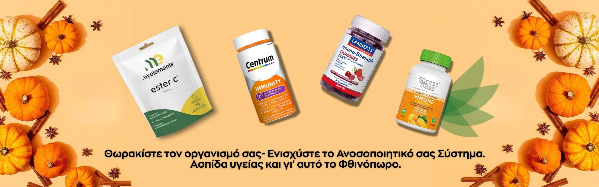 must have χειμωνα
