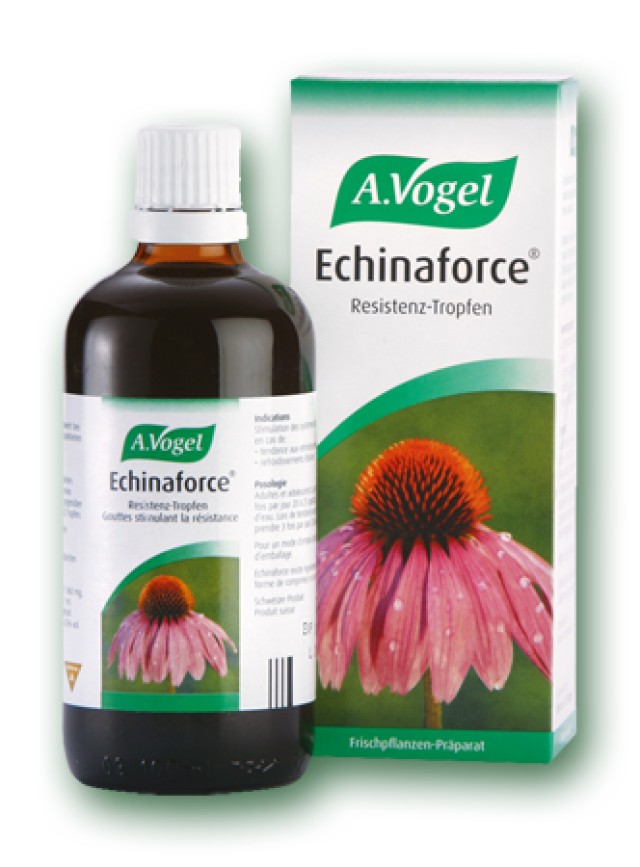 A.Vogel Echinaforce Βάμμα Εχινάκειας για Ενίσχυση του Ανοσοποιητικού 50ml